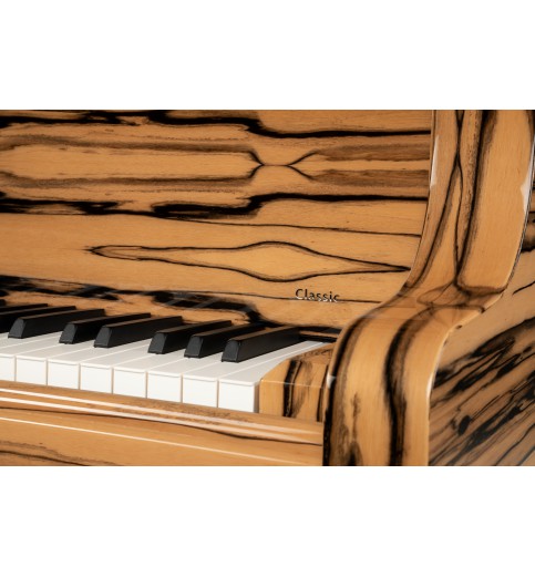 Schimmel Classic C169T Ebène Blanc